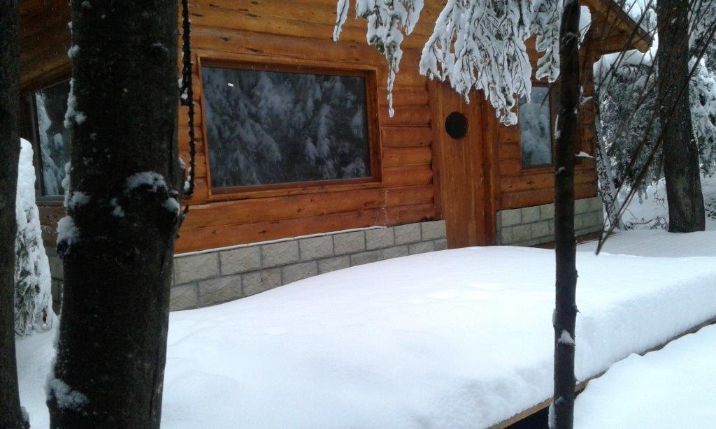cabana-nevado-2017